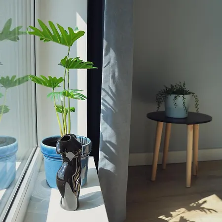 Malta - Apartment